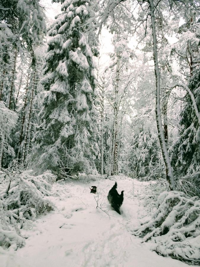 Stuga Glaskogen Glava Exterior foto